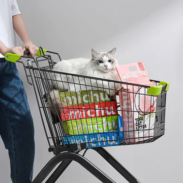 Elevate Your Cat's Daily Life