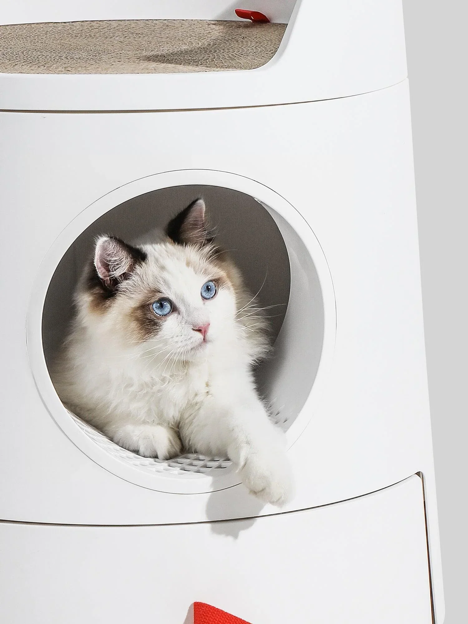 Michu XL Castle 2-in-1 Semi- Closed Cat Litter Box with Scratch Pad in White - Image 3