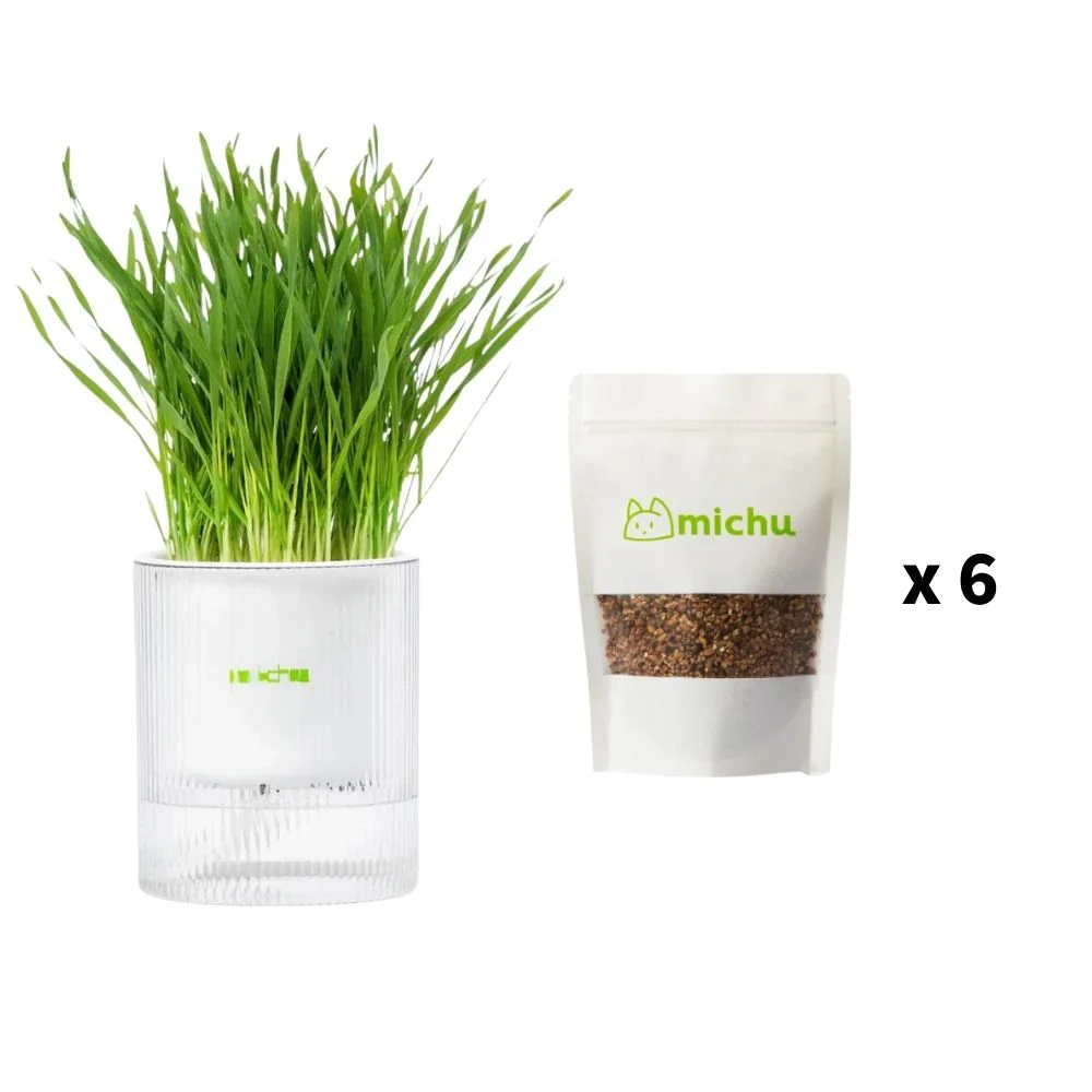MICHU All-in-One Soil-Free Cat Grass Grow Kit with Australian Seed and Mulch, Made in Australia - Image 21