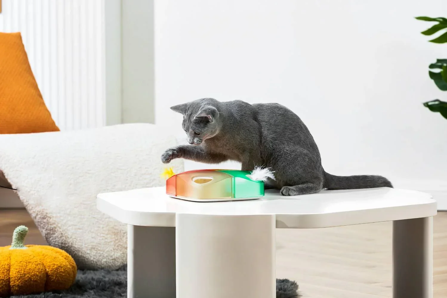 Michu Interactive Feathered Rechargeable Automatic Cat Toy Box - Image 6