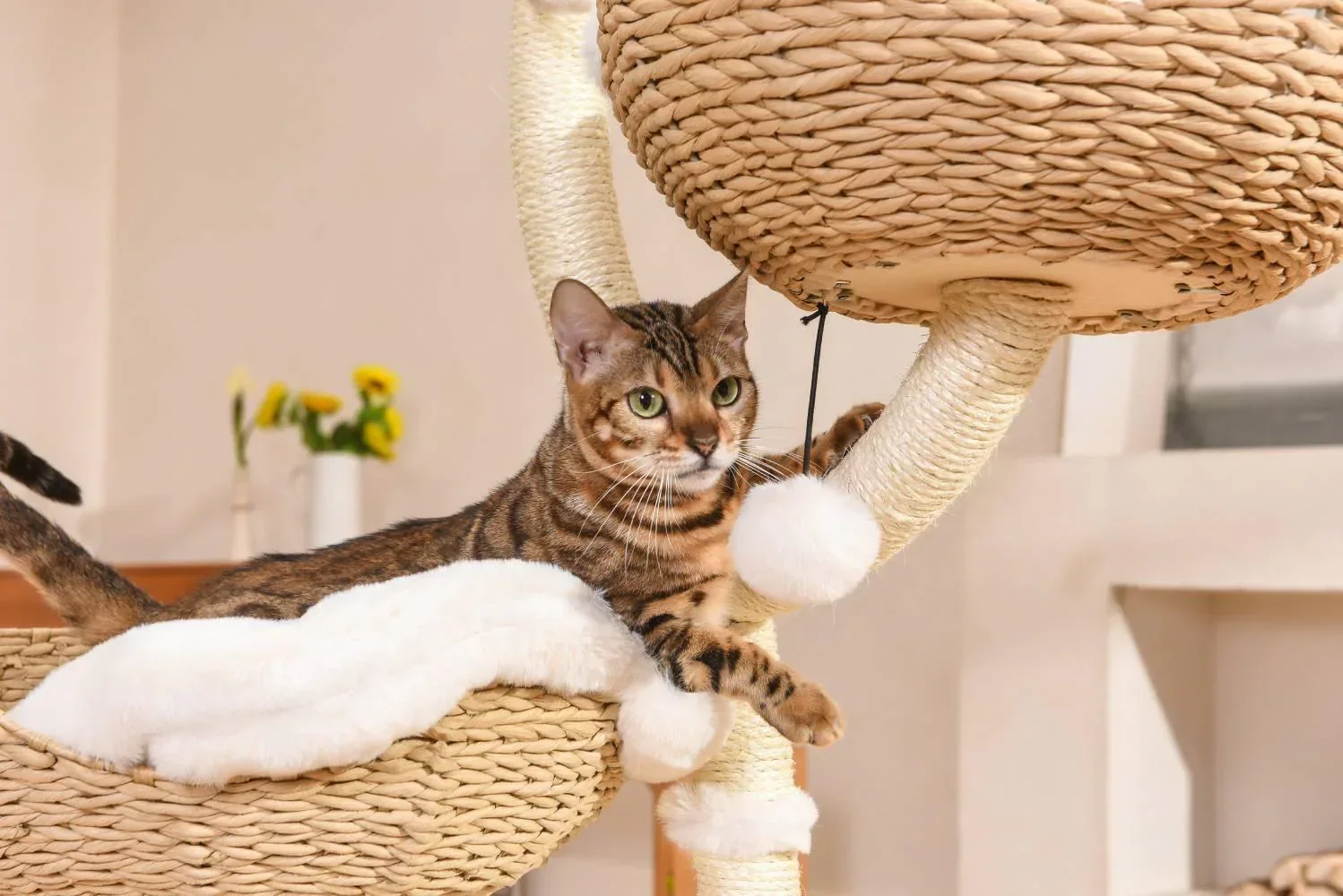 MICHU Ivy Cat Tower Deluxe 4-Tier Designer Tall Cat Tree Pre Order - Image 5