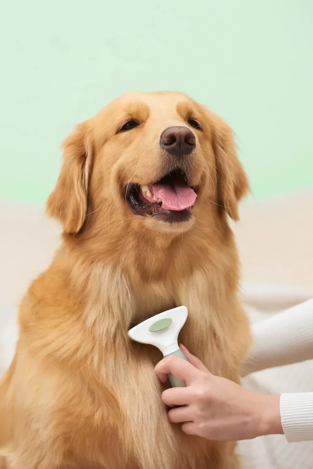 Michu Shedding Rake - The Ultimate Undercoat Grooming Tool for Australian Pet Owners - Image 7