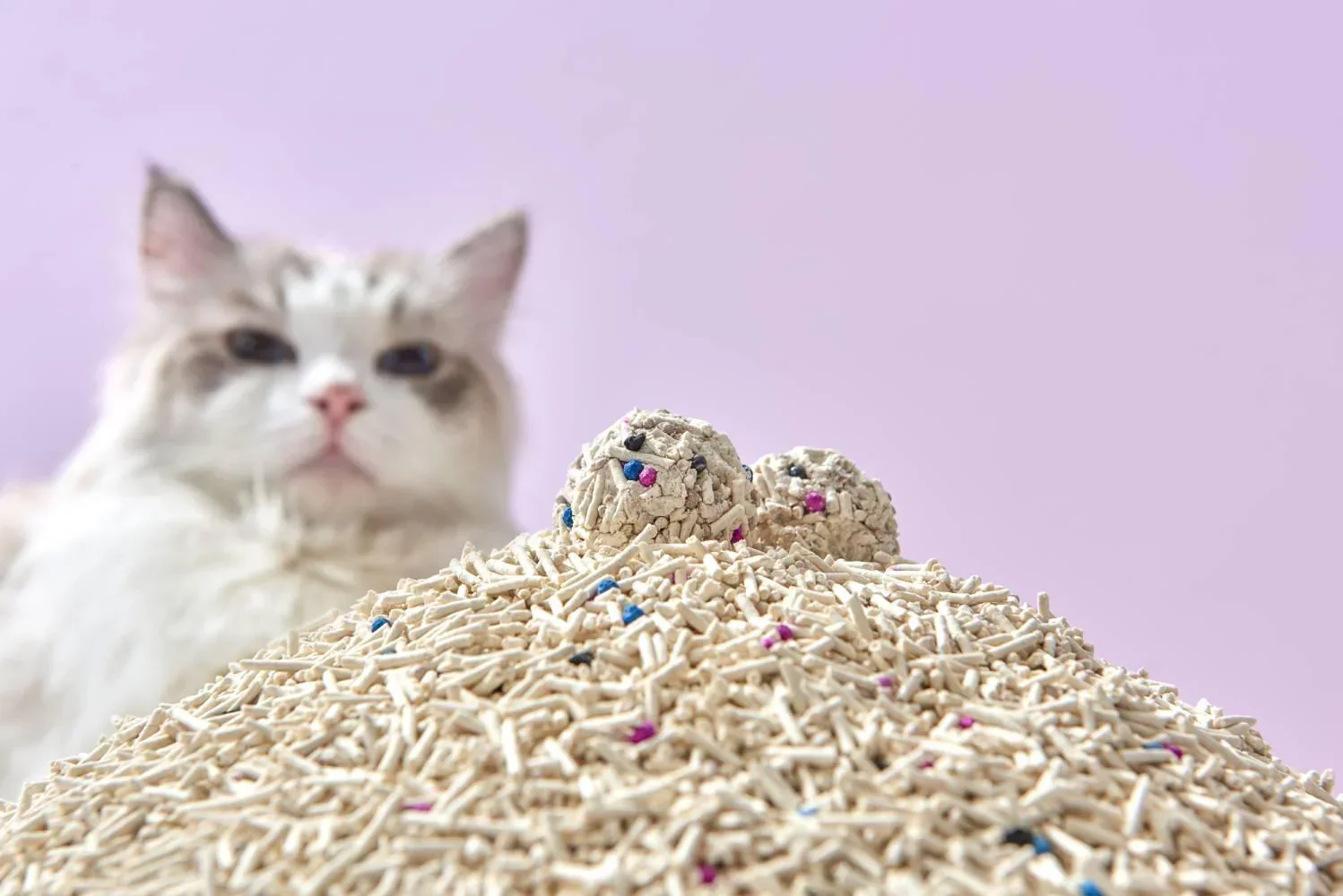 Michu Premium Mixed Tofu Cat Litter Pro Gen2 6L- Superb in Flushable, Eco-Friendly & Odour-Control - Image 11